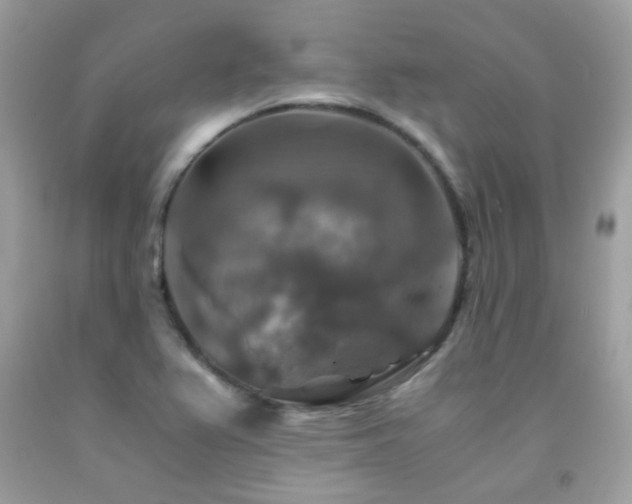 X0000091861367200709051158
