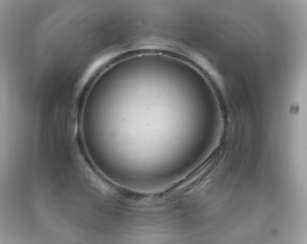 X0000091861368200709051158