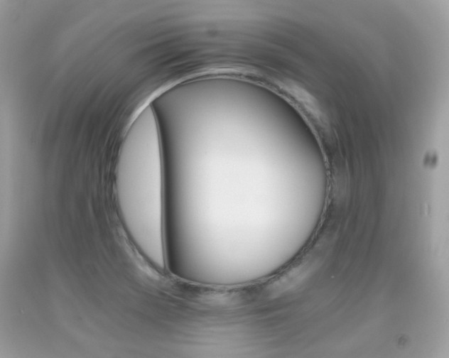 X0000091861369200709051158