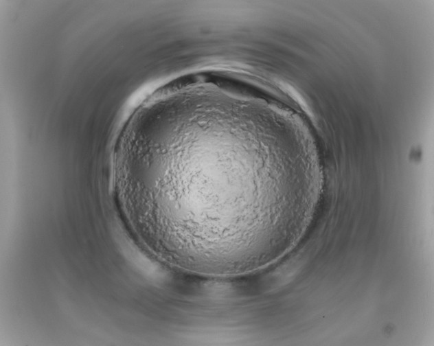 X0000091861371200709051158