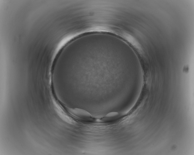X0000091861372200709051158