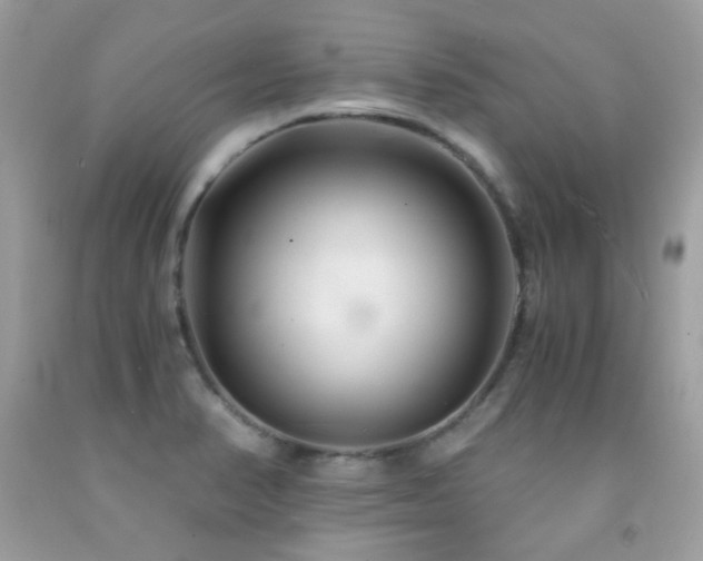 X0000091861374200709051158