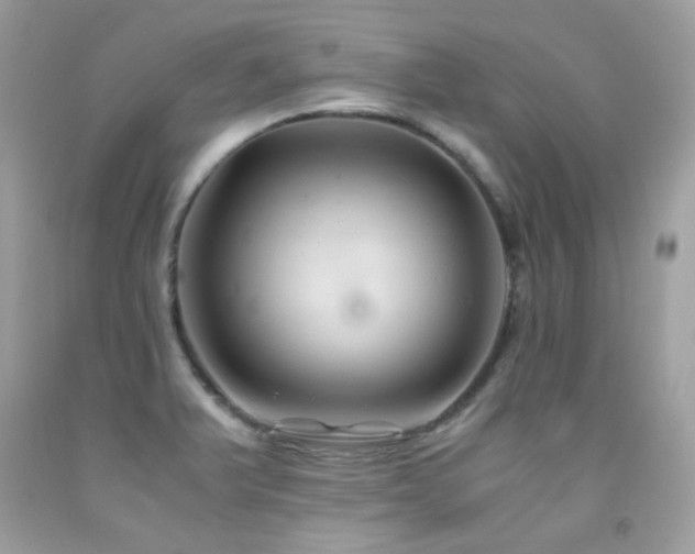 X0000091861375200709051158
