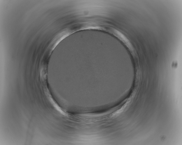 X0000091861377200709051158