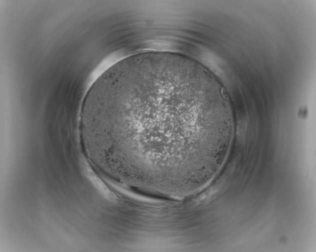 X0000091861378200709051158