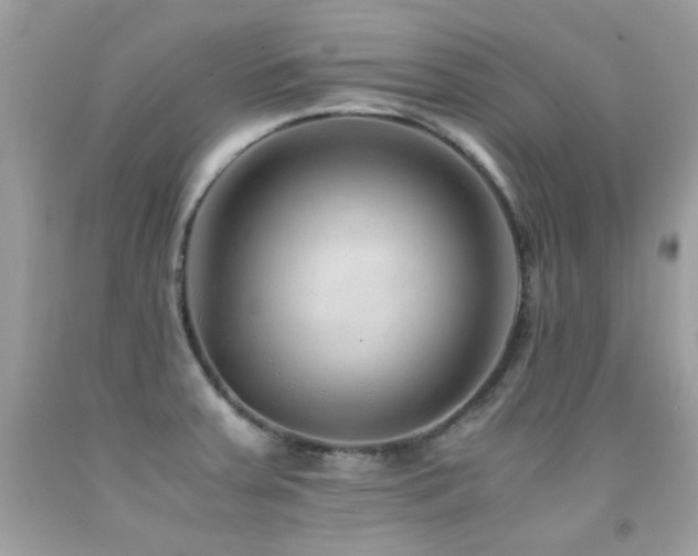 X0000091861379200709051158