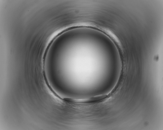 X0000091861380200709051158