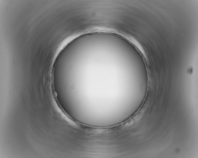 X0000091861381200709051158