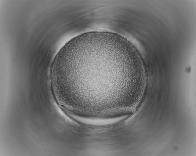 X0000091861382200709051158