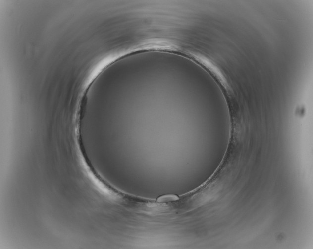 X0000091861383200709051158