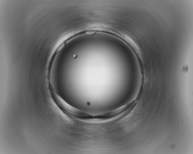 X0000091861384200709051158