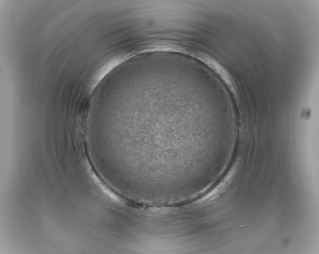 X0000091861385200709051158