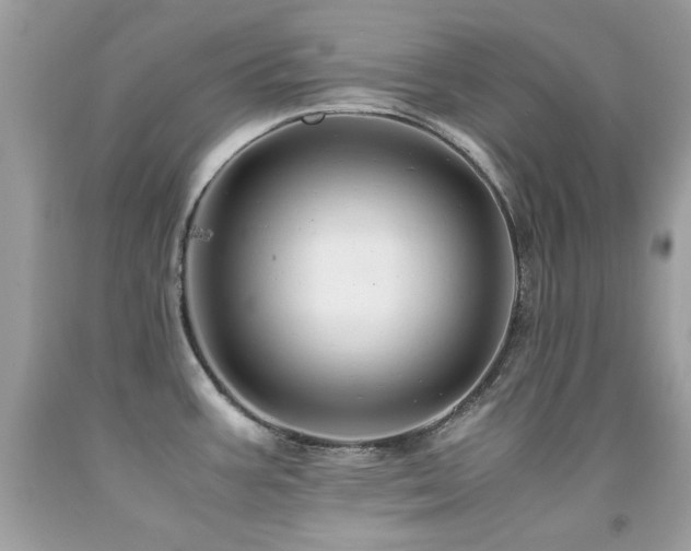 X0000091861387200709051158