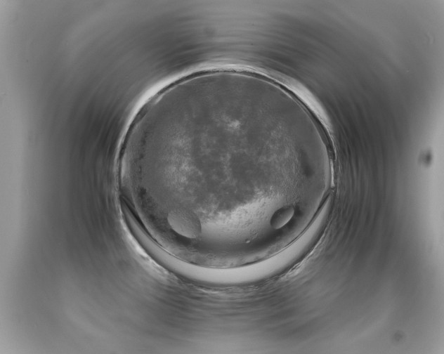 X0000091861388200709051158