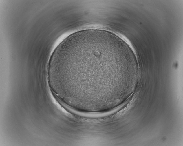 X0000091861389200709051158