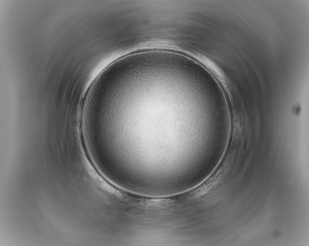 X0000091861390200709051158