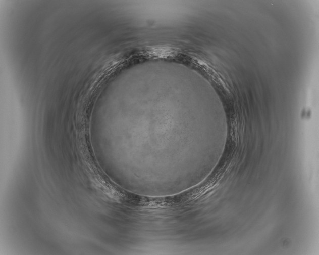 X0000091861393200709051157