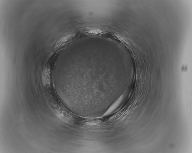 X0000091861394200709051158