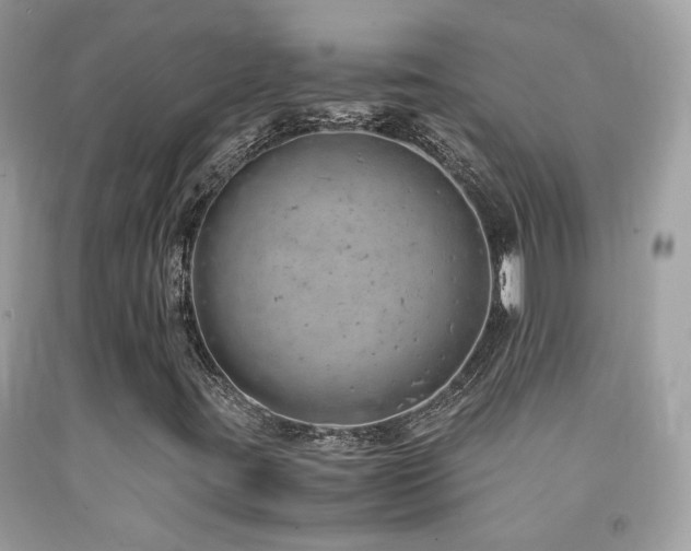 X0000091861395200709051158