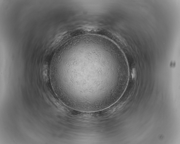 X0000091861396200709051158