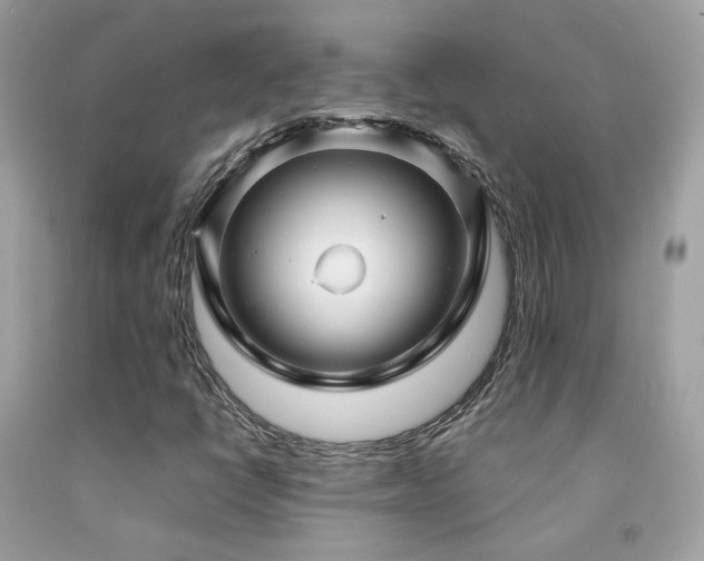 X0000091861398200709051158