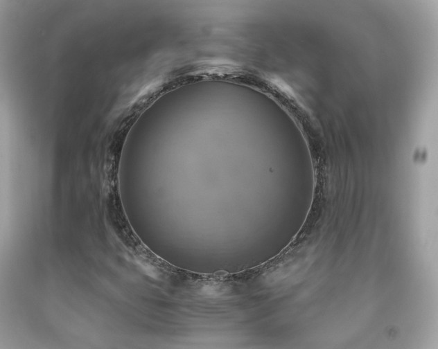 X0000091861399200709051158