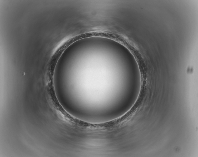 X0000091861400200709051158