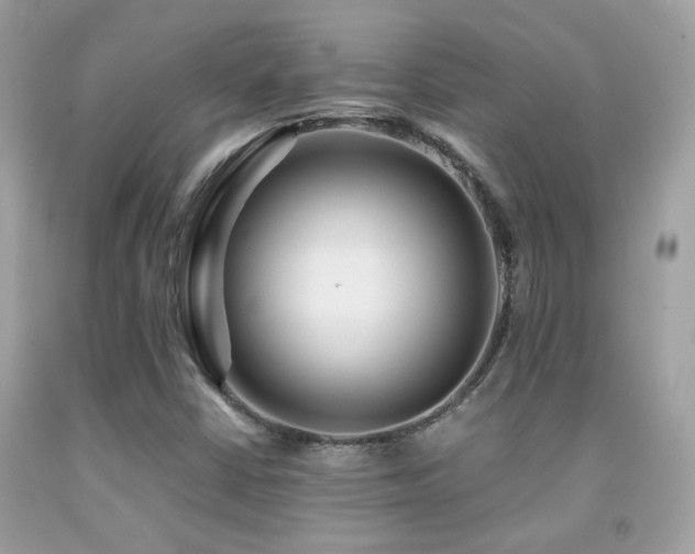 X0000091861402200709051158