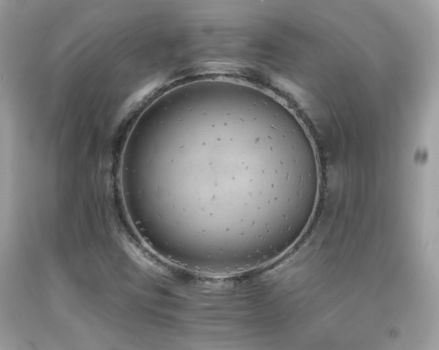 X0000091861403200709051158