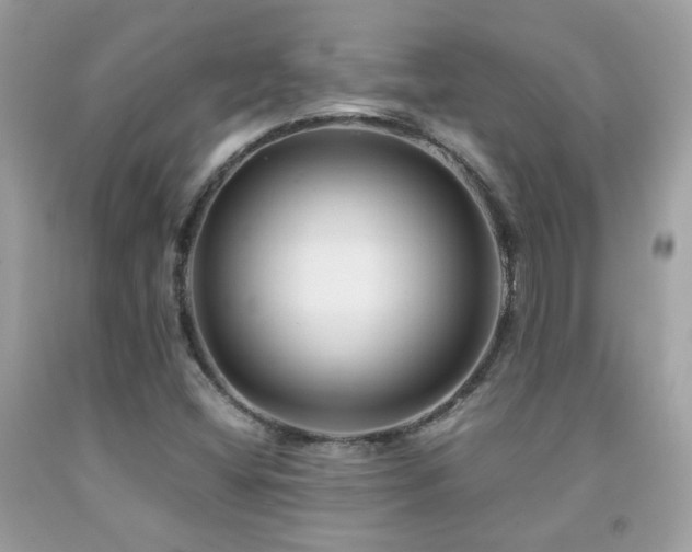 X0000091861404200709051158