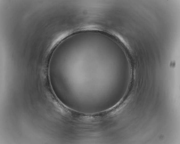 X0000091861405200709051158