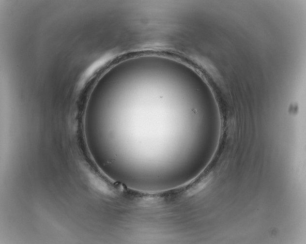 X0000091861406200709051158