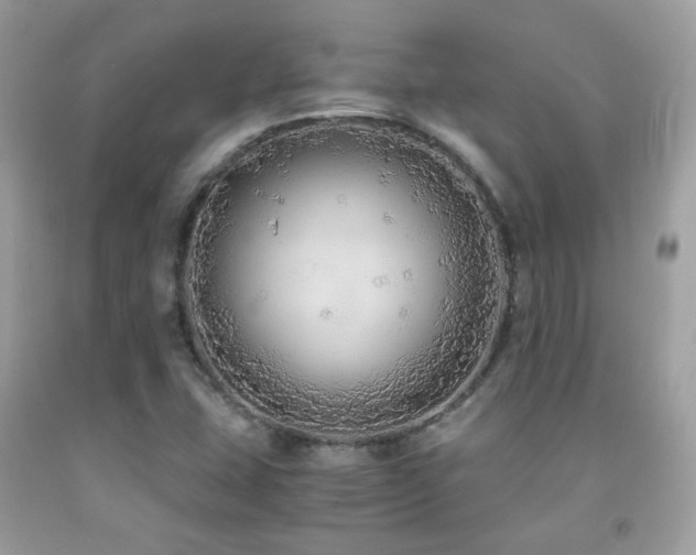 X0000091861407200709051158