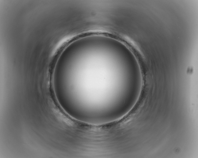 X0000091861408200709051158