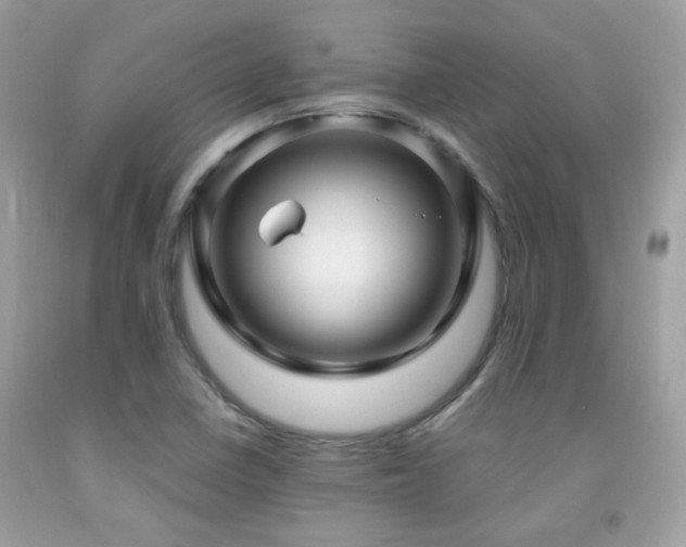 X0000091861410200709051158
