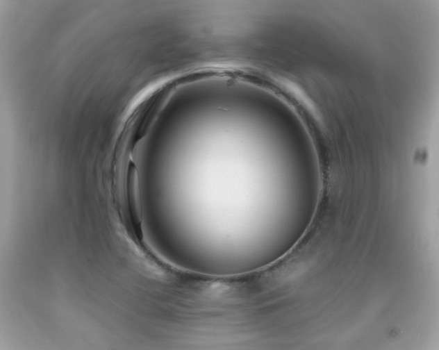X0000091861412200709051158