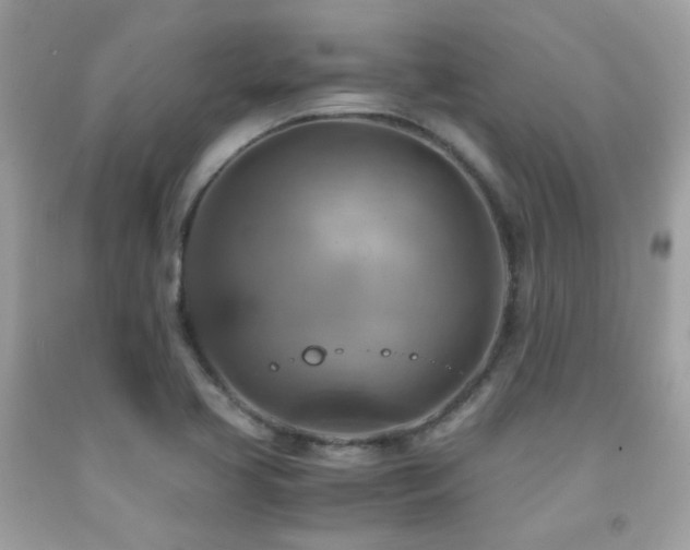 X0000091861413200709051158