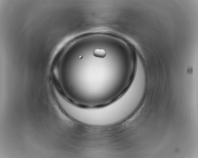 X0000091861414200709051158
