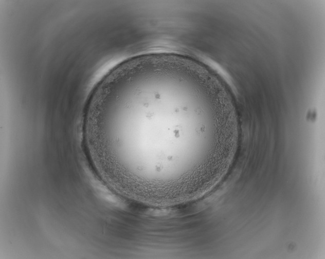X0000091861415200709051158