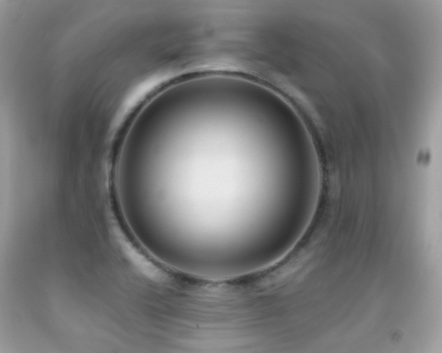 X0000091861416200709051158