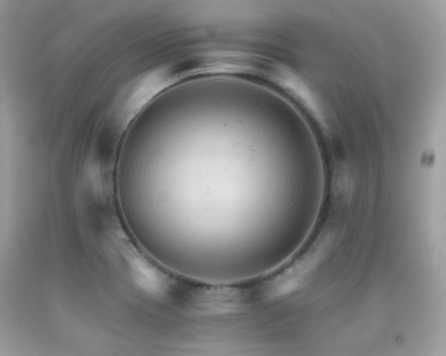 X0000091861417200709051158