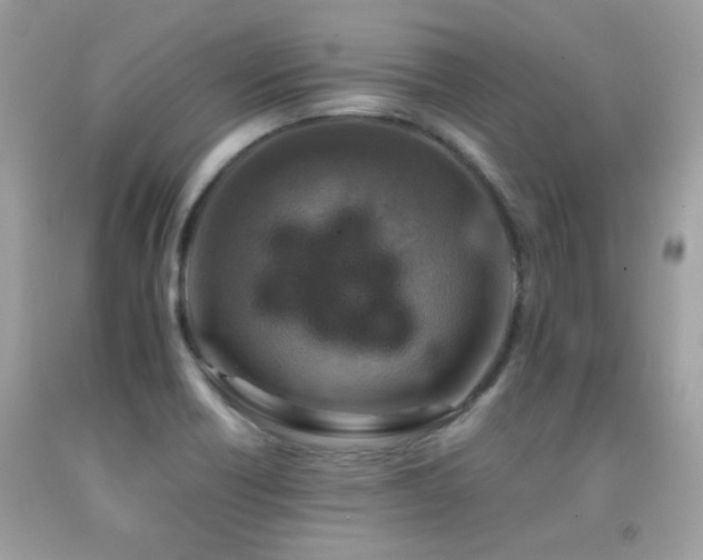 X0000091861418200709051158