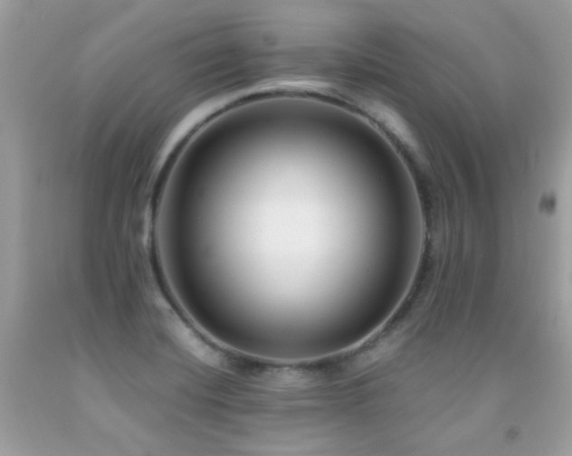 X0000091861420200709051158