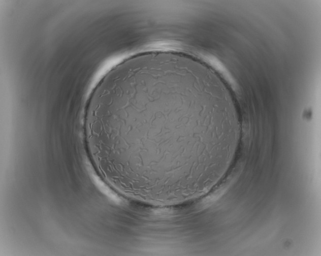 X0000091861421200709051158