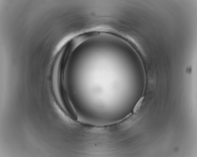 X0000091861422200709051158