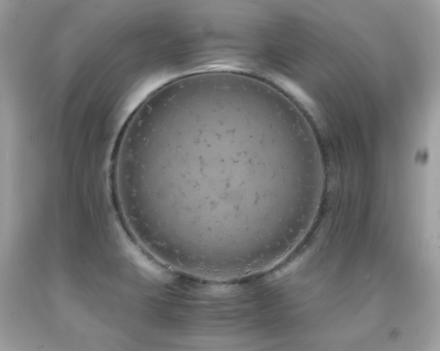 X0000091861423200709051158