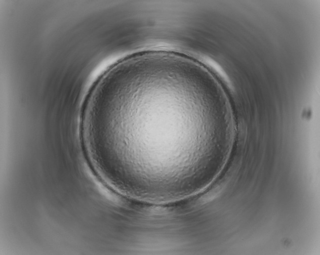 X0000091861424200709051158
