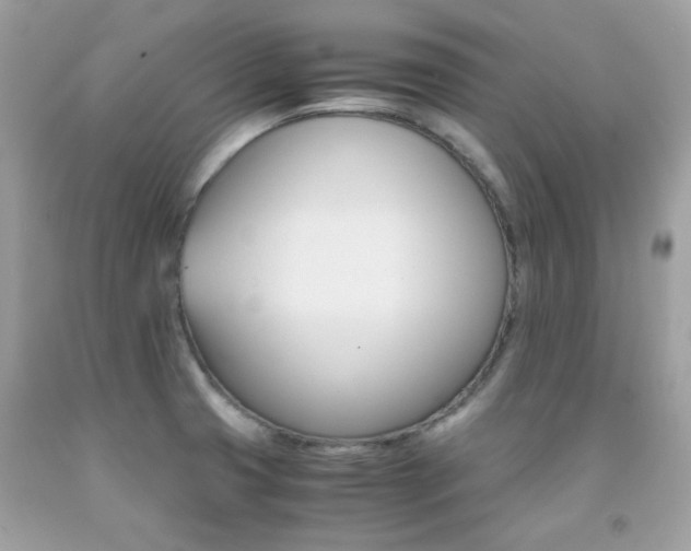 X0000091861425200709051158