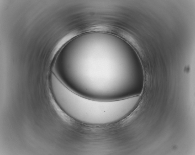 X0000091861426200709051158