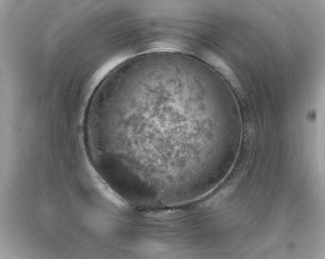 X0000091861427200709051158